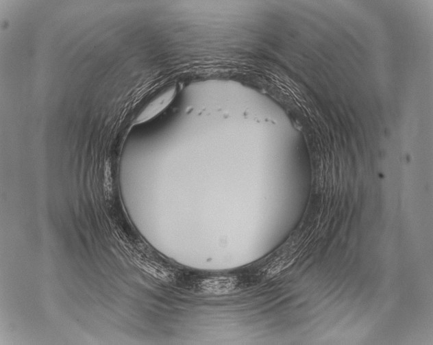 X0000071840700200607290108