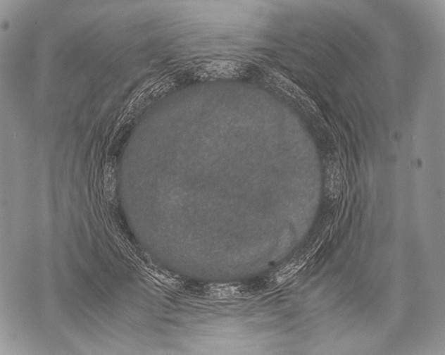 X0000071840701200607290108