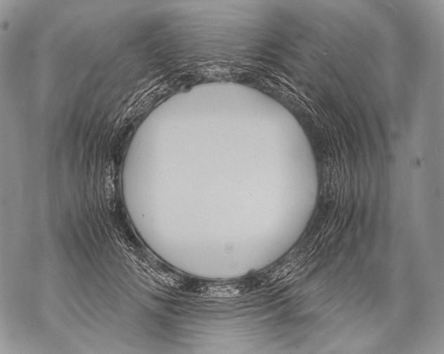 X0000071840702200607290108