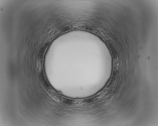 X0000071840703200607290108