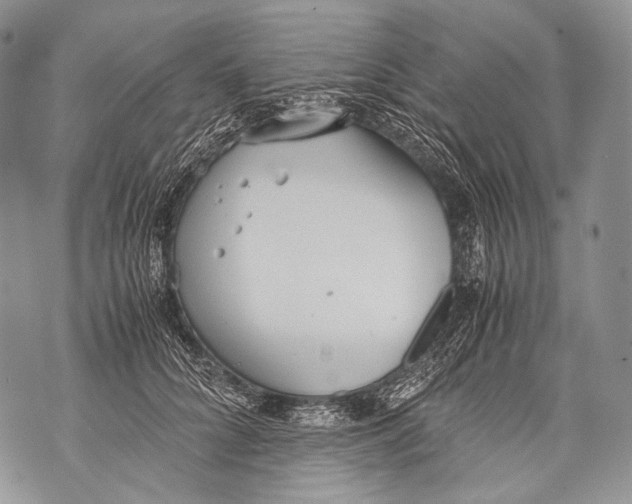 X0000071840704200607290108