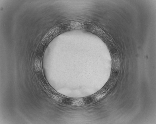 X0000071840705200607290108