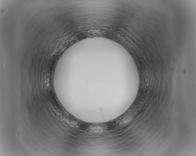 X0000071840706200607290108