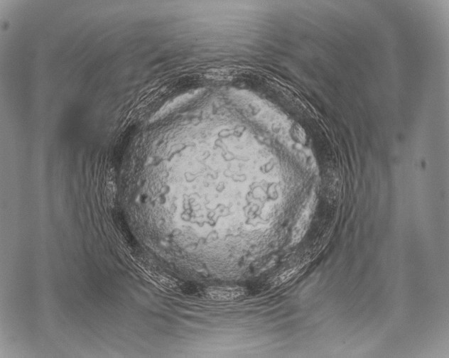 X0000071840707200607290108