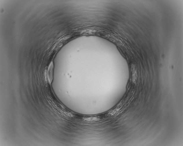 X0000071840708200607290108