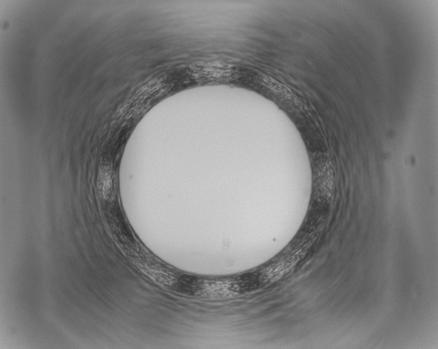 X0000071840709200607290107