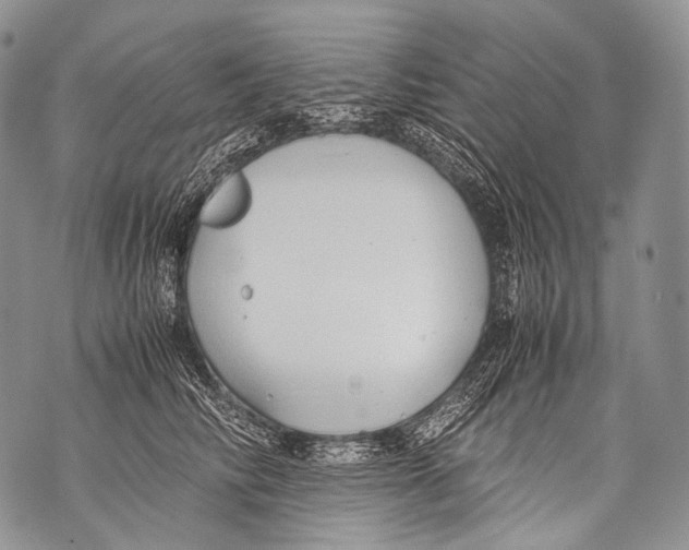 X0000071840710200607290107