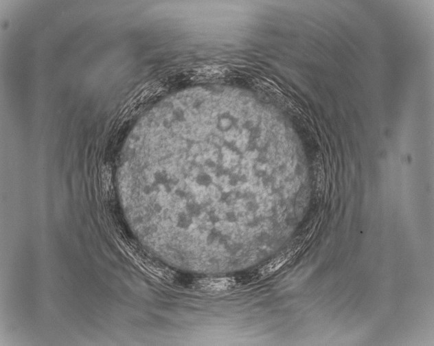 X0000071840711200607290107