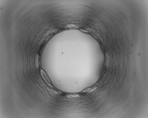 X0000071840712200607290107