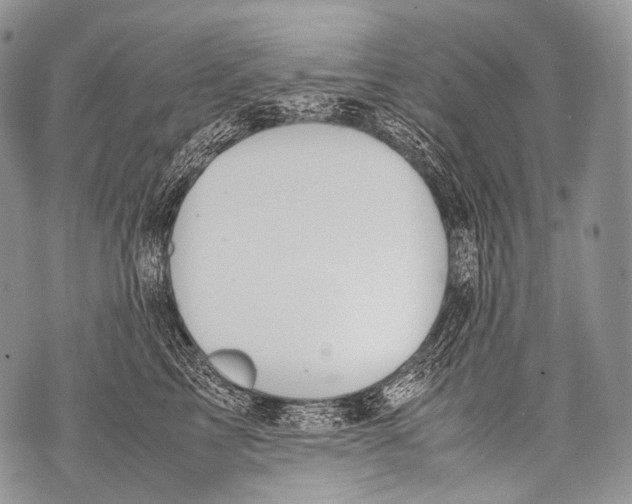 X0000071840713200607290107