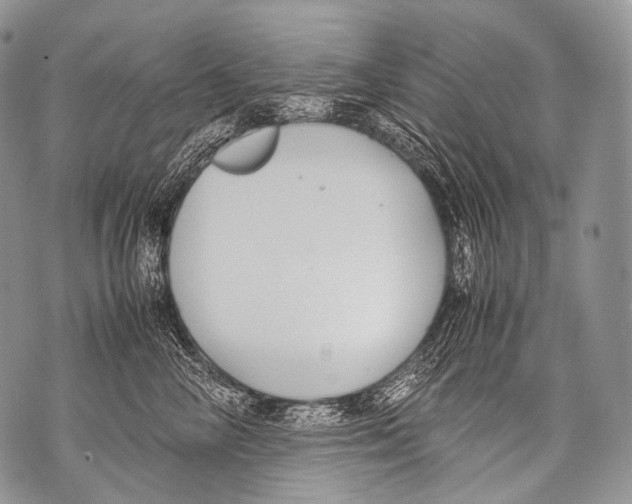 X0000071840714200607290107