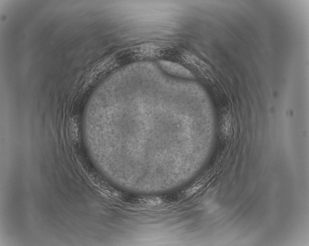 X0000071840715200607290107