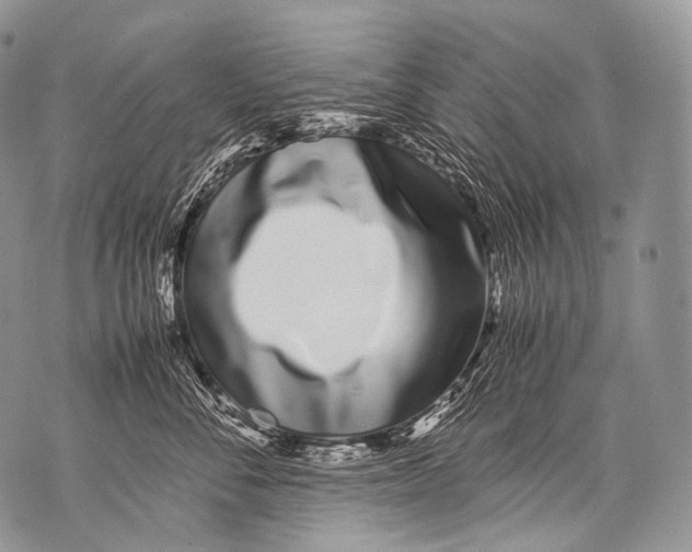 X0000071840716200607290107