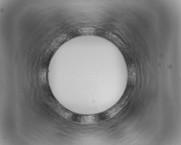 X0000071840717200607290107