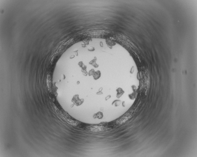 X0000071840718200607290107