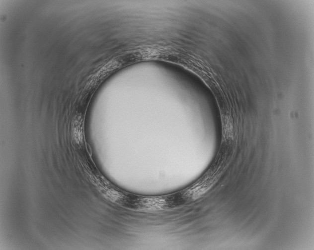 X0000071840719200607290107