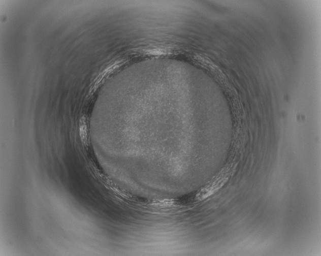 X0000071840720200607290107