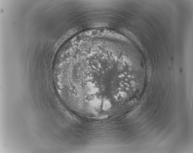 X0000071840721200607290107