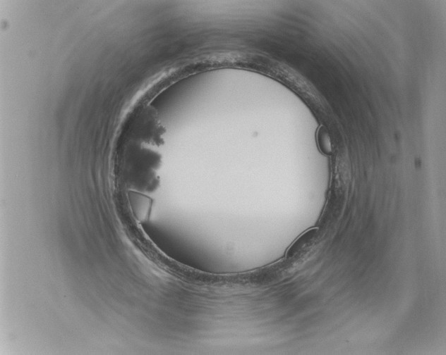 X0000071840722200607290107