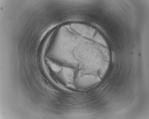 X0000071840723200607290107