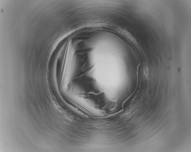 X0000071840724200607290107