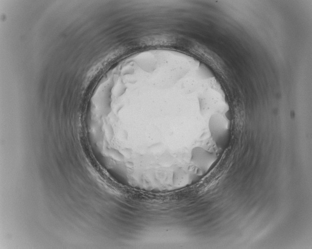 X0000071840725200607290107