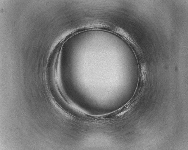 X0000071840726200607290107