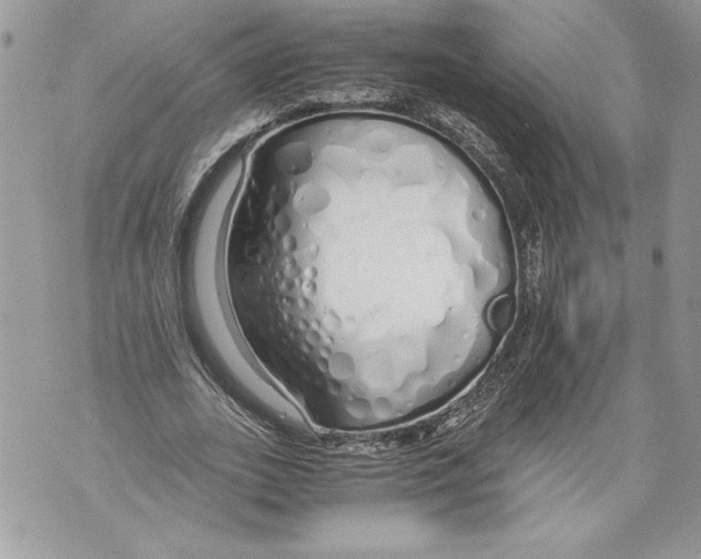 X0000071840727200607290107