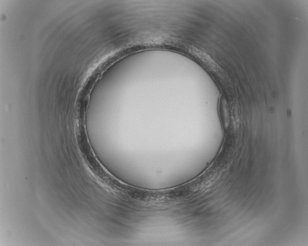 X0000071840728200607290107