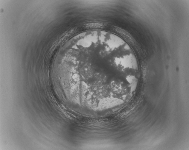 X0000071840729200607290107