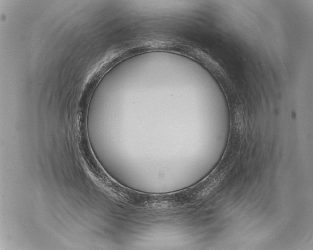 X0000071840730200607290107