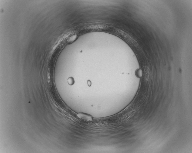 X0000071840731200607290107