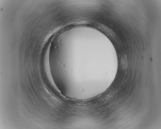 X0000071840732200607290107