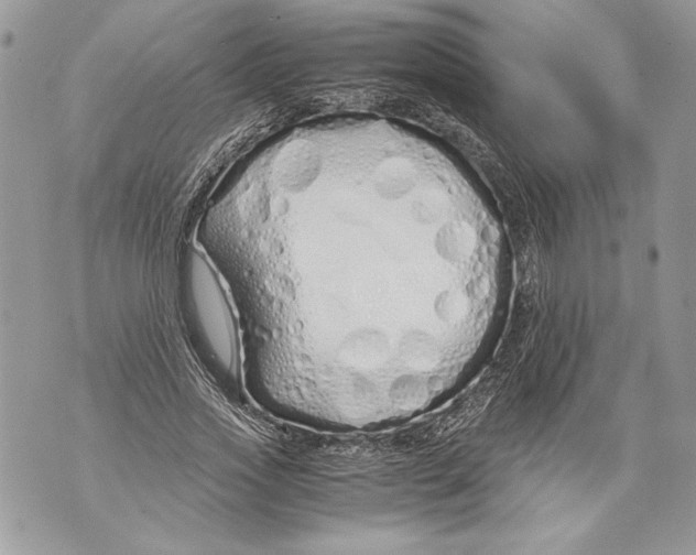 X0000071840733200607290107