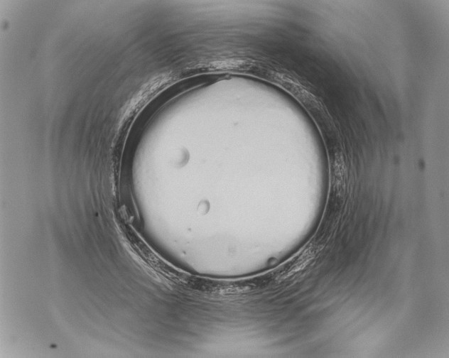 X0000071840734200607290107