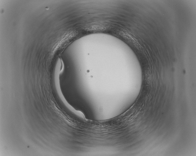 X0000071840735200607290107