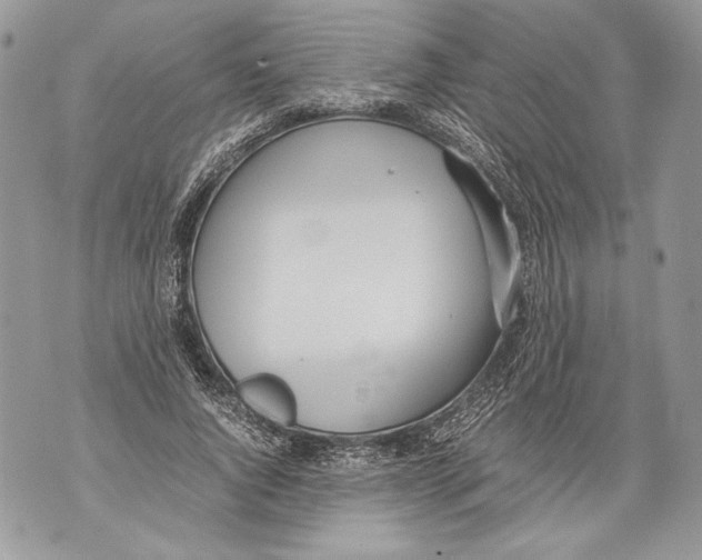 X0000071840736200607290107