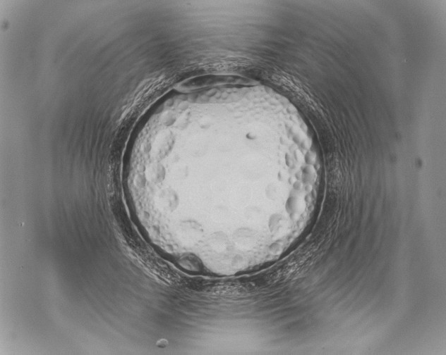 X0000071840738200607290107