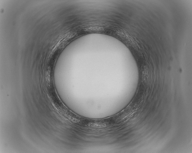 X0000071840739200607290107