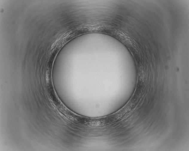 X0000071840740200607290107