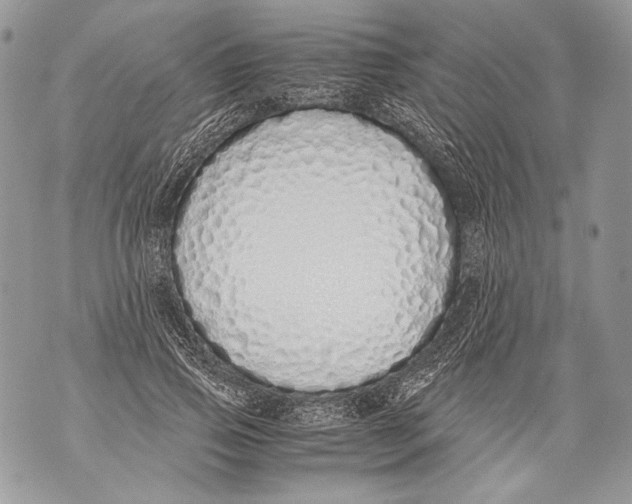 X0000071840741200607290107