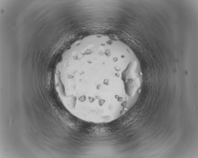 X0000071840742200607290107