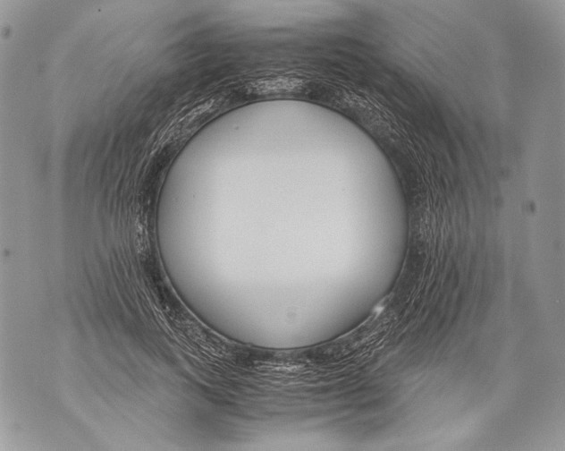 X0000071840743200607290107