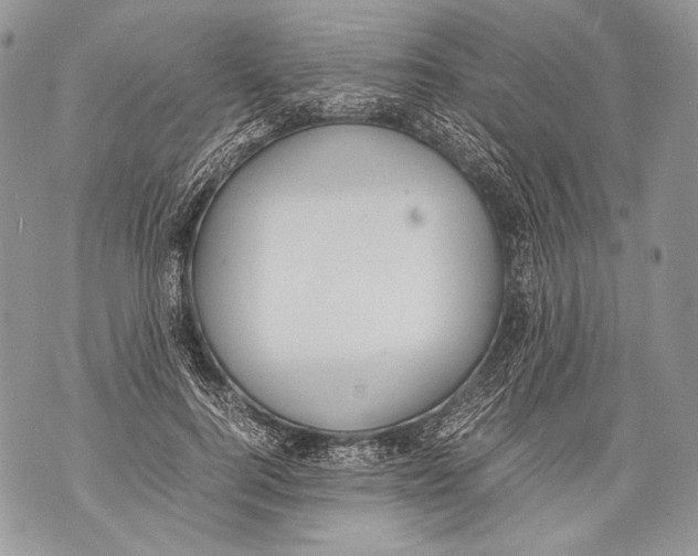 X0000071840744200607290107