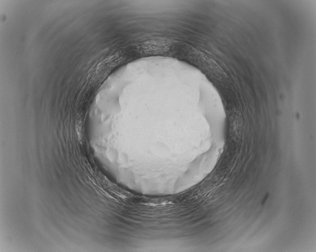 X0000071840745200607290107