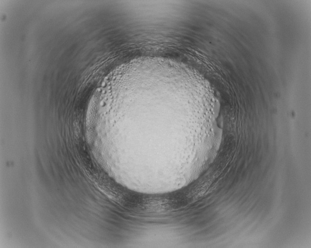 X0000071840746200607290107