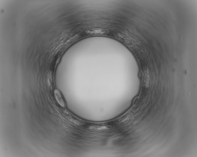 X0000071840747200607290107