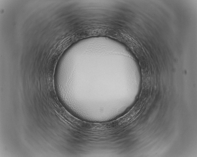 X0000071840749200607290107