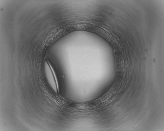 X0000071840750200607290107