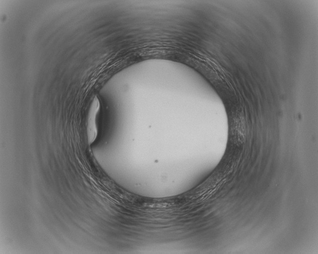 X0000071840751200607290107